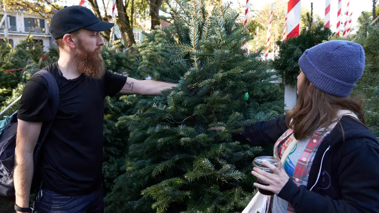 Ben and Kat with their hands in a Christmas tree, holding it upright.