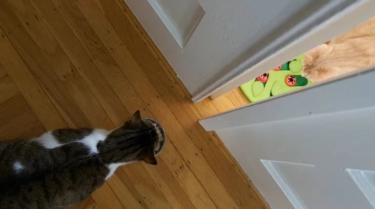 A gap between a door with Gus on one side and Marsh on the other, each eating their snacks