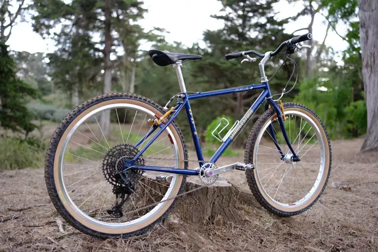 A blue and gold bike propped up against a tree stump. This iteration of the bike shows black riser bars, a black Brooks Cambium saddle, and some beat up MKS Sylvan style pedals.