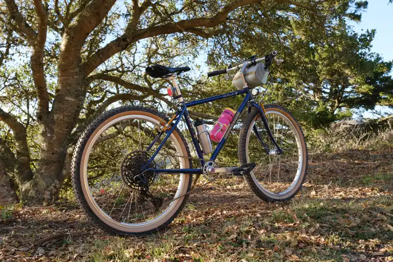 A blue and gold bike propped up with a stick under an oak tree. Looking from behind the bike at a side angle.