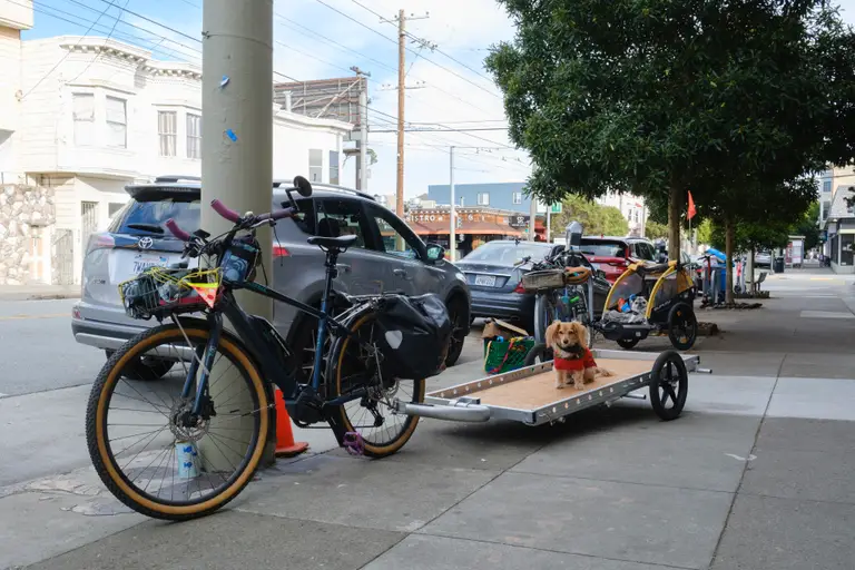 The blue Kona e-bike hitched to a 6 foot trailer with Goldberg the dog sitting on it