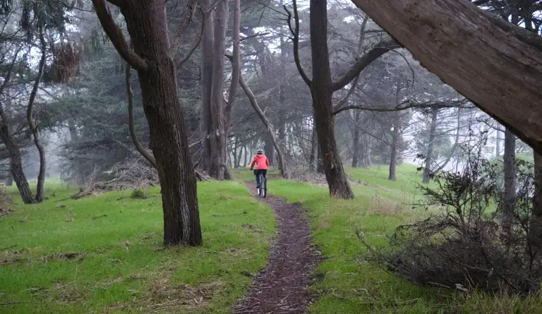 Kat riding her BB-1 on some sligtly winding single track in a misty forest.