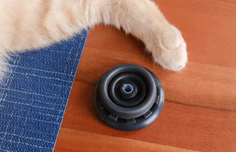 The smaller stock wheel on top of the eazy wheel showing that it's not much bigger. Both are in front of a cat's rear paw.