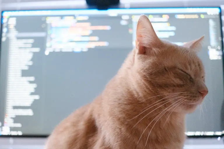 A buff tabby cat closing his eyes in front of a computer monitor.