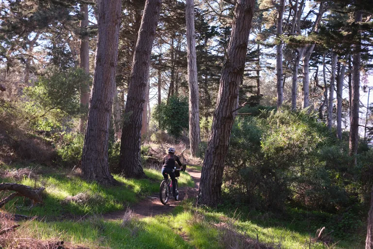 Kat biking on some single track between two trees