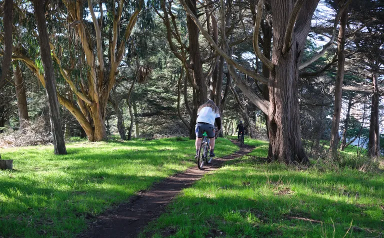 Jay and Kat biking down some forested singletrack with dappled light
