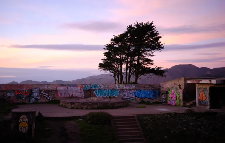 A tree on top of a bunker with a sunset over the Marin Headlands in the background