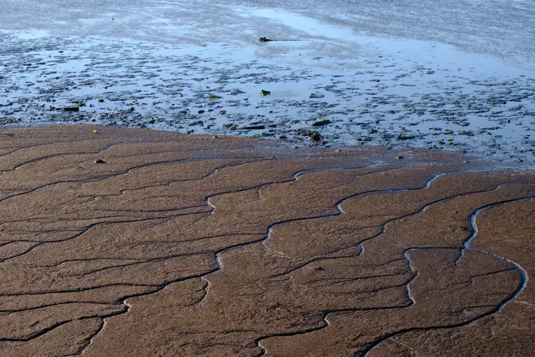 Rippling textures in the shore
