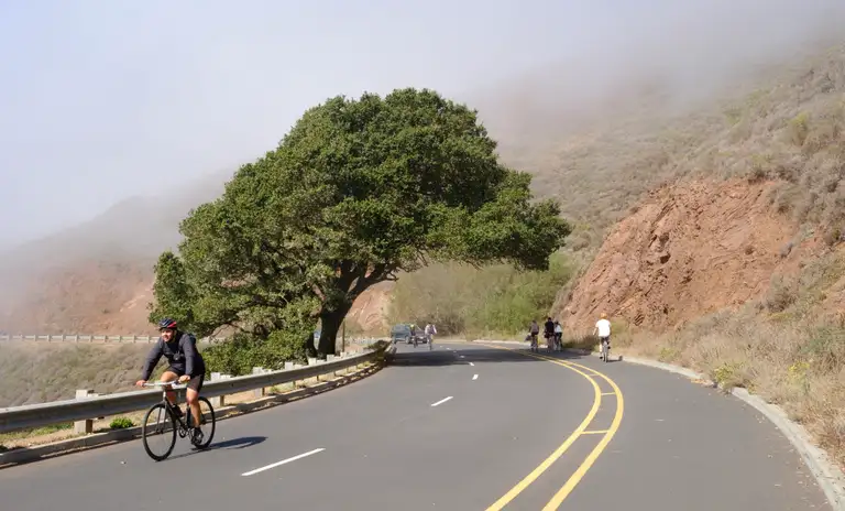 A curved road with a lone tree hanging over the apex of the turn. A cyclist on a single speed bike is leaving the frame and my group of friends is biking away