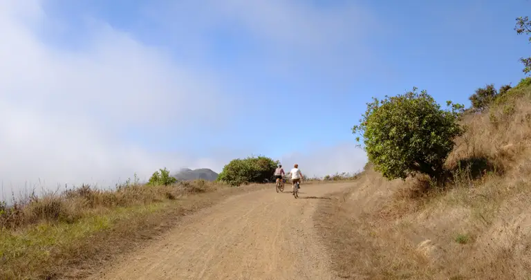 Jerry and Sarah biking up around a bend of a hill with a bush poking out of the hill on their right and fog rolling in to the left