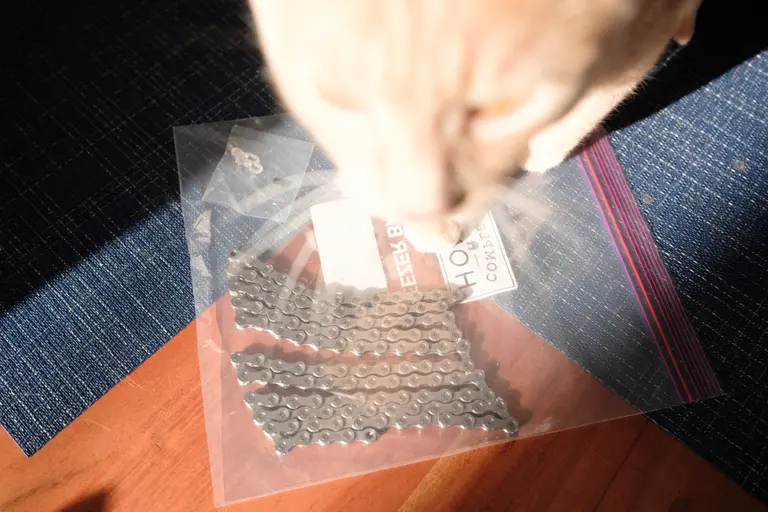 A cat stepping on a plastic bag containing a newly waxed chain