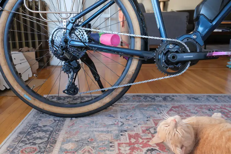 A buff tabby cat lying in front of a bike with a waxed chain installed
