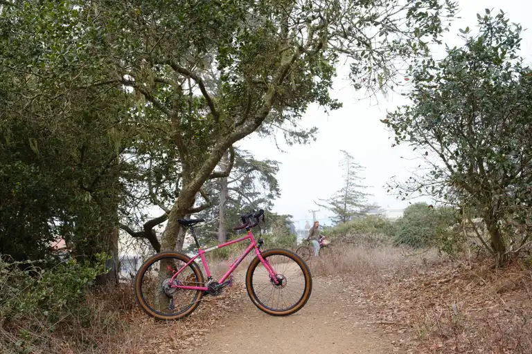 A pink rigid mountain bike under an oak tree on a foggy dirt trail