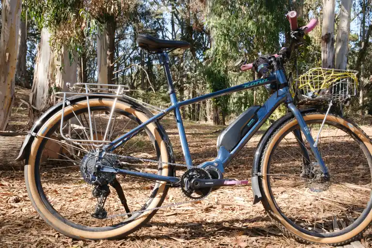 A blue e-bike in front of a forest of eucalyptus trees