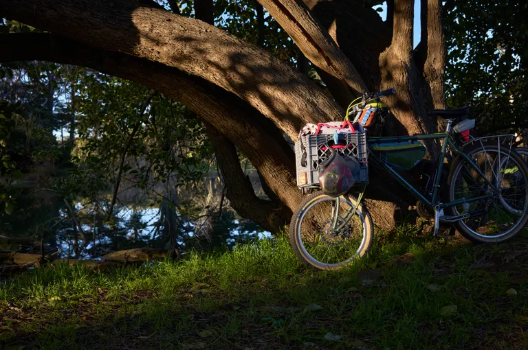 Sarah's bike with a Clydesdale cargo fork in the grass against a tree overhanging a small lake.