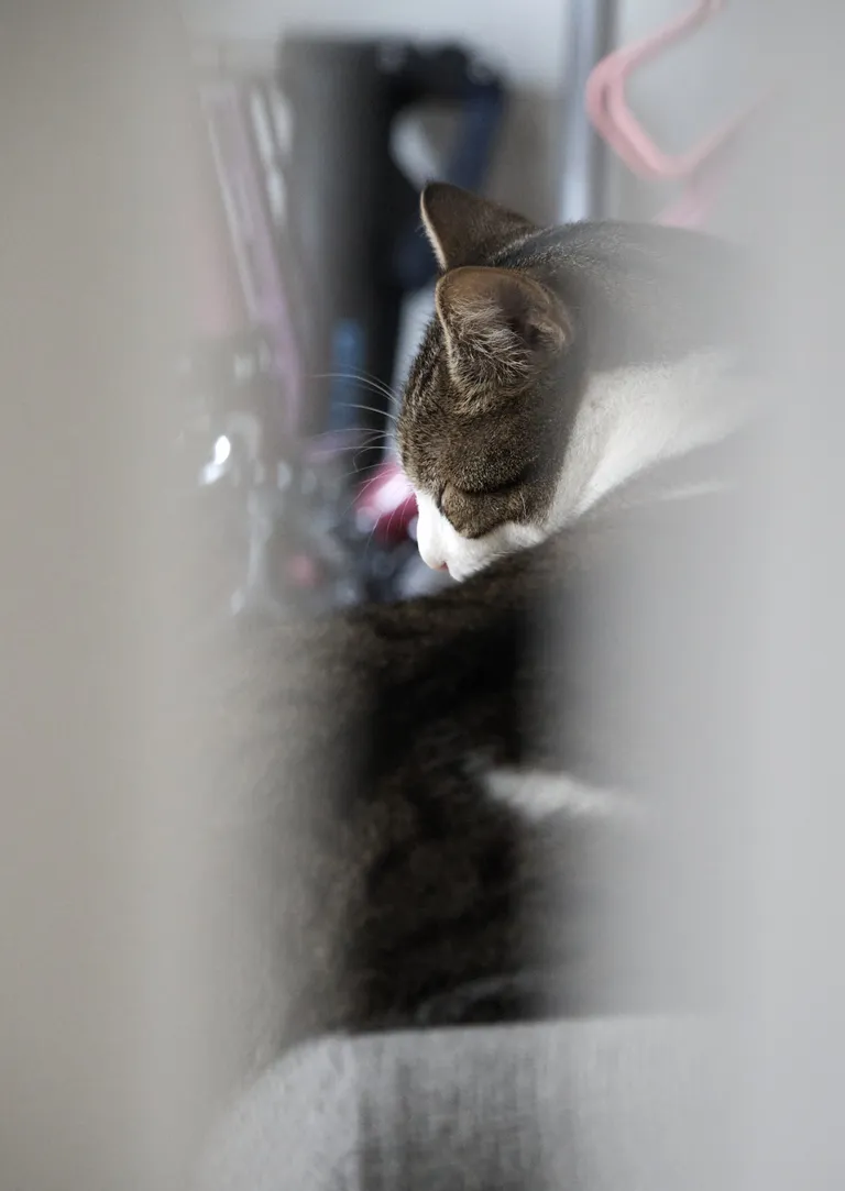 Peeking through a small crack in the door to see Marsh sleeping on the couch.