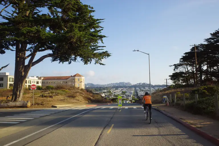 A woman riding under a large tree going down a hill towards city blocks