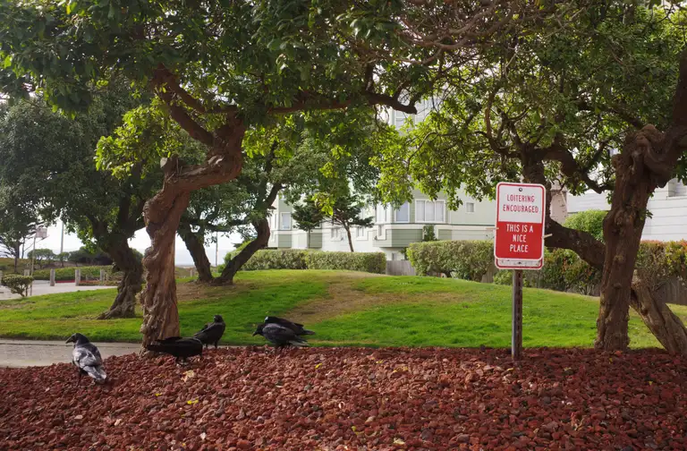Some corvids standing beside a sign that reads 'Loitering Encouraged This is a Nice Place'