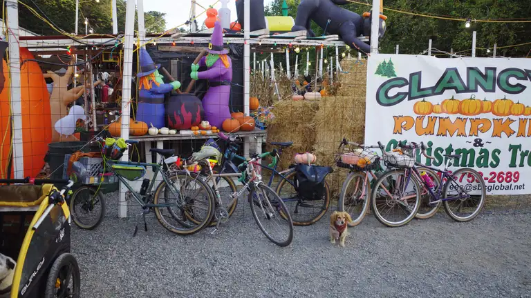 Five bikes in front of the Clancy's entrance banner and a variety of halloween decorations.