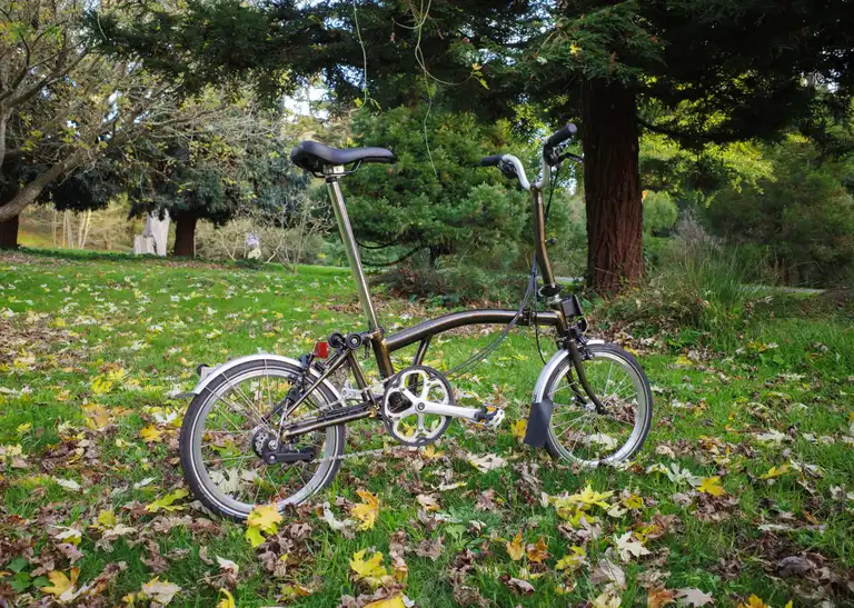 A Brompton C Line Explore in Black Lacquer standing on green grass surrounded by maple leafs.